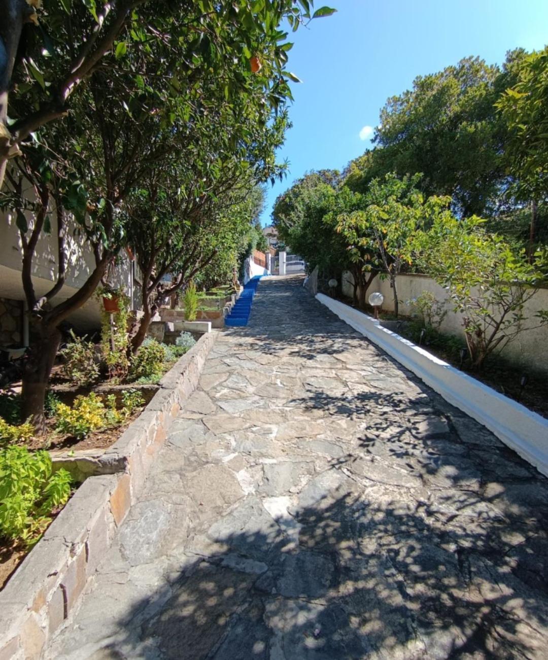 מונטיאנו B&B Terramare מראה חיצוני תמונה