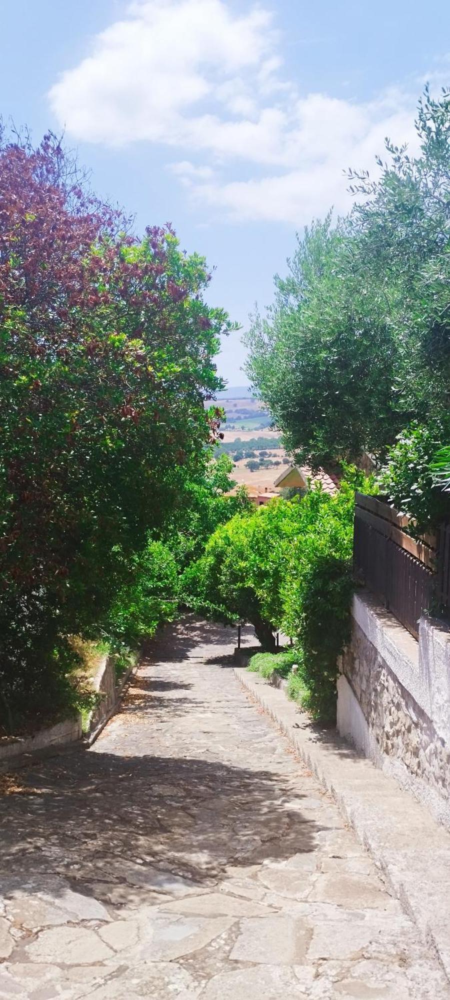 מונטיאנו B&B Terramare מראה חיצוני תמונה